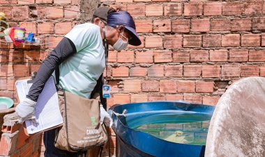 Sesau segue trabalho de combate às arboviroses e de eliminação aos focos do Aedes Aegypti