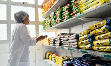Desempenho na gestão da oferta da alimentação escolar em Camaçari é destacado pelo Cecane-Ufba
