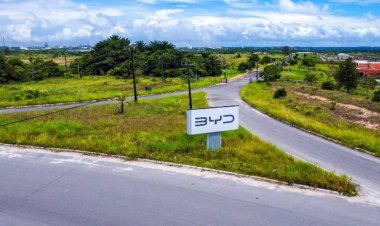 Brasil suspende vistos para BYD após denúncias de trabalho análogo à escravidão