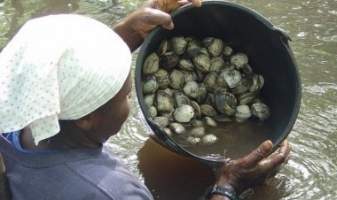 Prefeitura começa a recadastrar pescadores e marisqueiras para o programa Mais Pesca