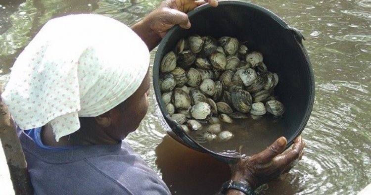 Prefeitura começa a recadastrar pescadores e marisqueiras para o programa Mais Pesca