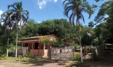 Campanha Doe R$ 1,00 para a Continuação do Galpão da APTI - Associação Artes Para Todas as Idades