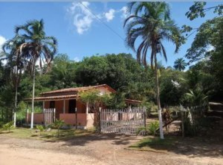 Campanha Doe R$ 1,00 para a Continuação do Galpão da APTI - Associação Artes Para Todas as Idades